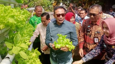 Lahan Pertanian Menyusut, Pemkot Malang Geliatkan Urban Farming Lewat Program RT Berkelas