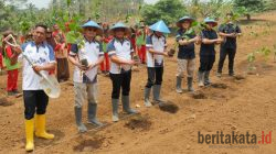 SAE L’SIMA Ngajum Tanam 1.000 Bibit Kopi dan Kedelai, Libatkan Siswa SD untuk Perkuat Ketahanan Pangan