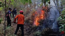 Penanganan Karhutla Gunung Arjuno-Welirang, BNPB Kerahkan Operasi Modifikasi Cuaca dan Water Bombing
