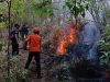 BPBD Sebut Titik Api Karhutla Gunung Arjuno Wilayah Kota Batu Dinyatakan Padam Sementara, Petugas Masih Lakukan Penyisiran
