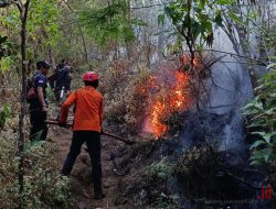 BPBD Sebut Titik Api Karhutla Gunung Arjuno Wilayah Kota Batu Dinyatakan Padam Sementara, Petugas Masih Lakukan Penyisiran